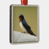 Schwalbe auf einer hölzernen Leiste Silbernes Ornament (Rechts)