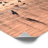 Schwalbe bei Sonnenuntergang Poster (Ecke)