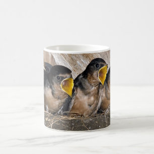 Schwalbe Chicks - Tasse