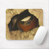 Schwalbe Mousepad (Mit Mouse)