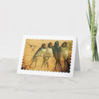 Schwalben, Geburtstag