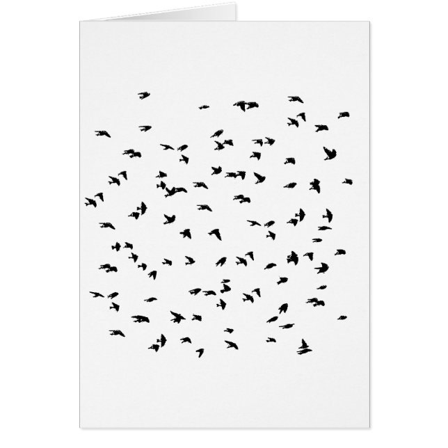 Schwalben-im Flug Vogel-Druck (Vorne)