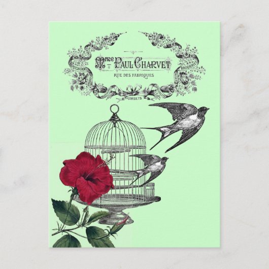 Schwalben in der Flugroute Postkarte (Vorderseite)