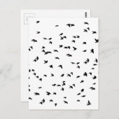 Schwalben in der Vogeldruckmaschine Postkarte (Vorne/Hinten)