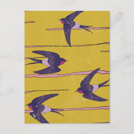 Schwalben Postkarte (Vorderseite)