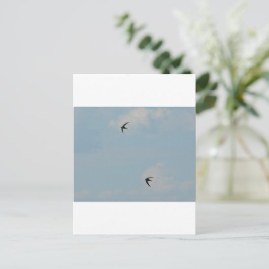 Schwalben Postkarte (Stehend Vorderseite)