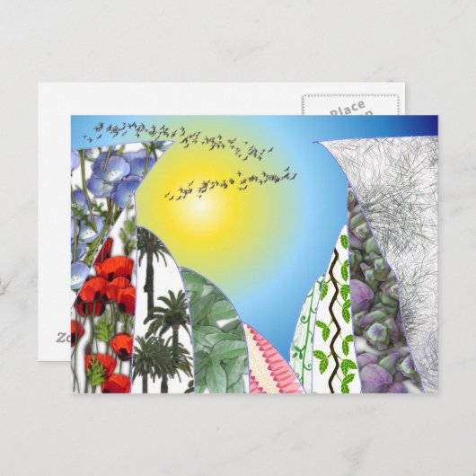 Schwalben Postkarte (Vorne/Hinten)