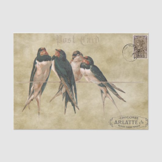 Schwalben Postkarte Seidenpapier (Vorderseite)
