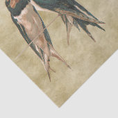 Schwalben Postkarte Seidenpapier (Ausschnitt)