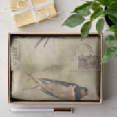 Schwalben Postkarte Seidenpapier (Geschenk)