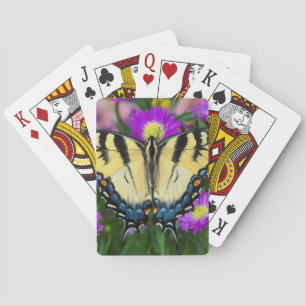 Schwalbenschwanz auf Gänseblümchen Spielkarten