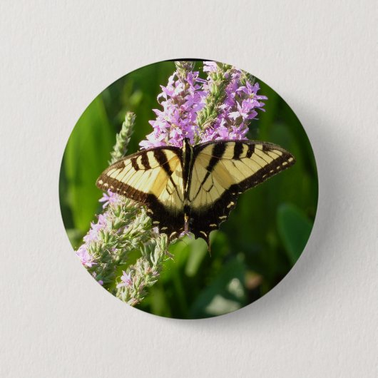 Schwalbenschwanz auf violetten Wildblumen Button (Vorderseite)