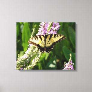 Schwalbenschwanz auf violetten Wildblumen Leinwanddruck