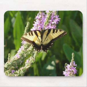 Schwalbenschwanz auf violetten Wildblumen Mousepad