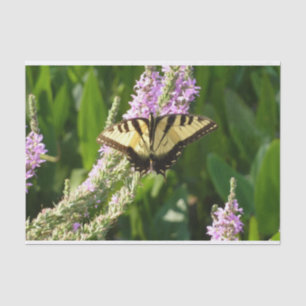Schwalbenschwanz auf violetten Wildblumen Seidenpapier