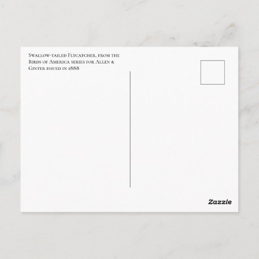 Schwalbenschwanz-Flycatcher Postkarte (Rückseite)