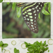 Schwalbenschwanz-Jay-Schmetterling Geschirrtuch (Gefaltet)