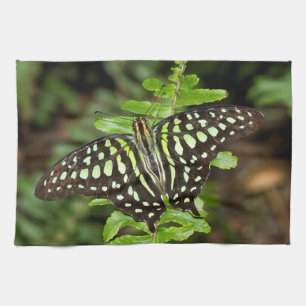 Schwalbenschwanz-Jay-Schmetterling Geschirrtuch