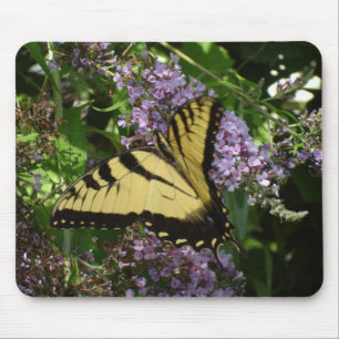 Schwalbenschwanz Mousepad