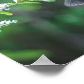 Schwalbenschwanz Poster (Ecke)