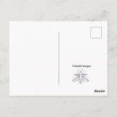 Schwalbenschwanz - Postkarte (Rückseite)