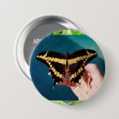 Schwalbenschwanz-Schmetterling Button (Vorne & Hinten)
