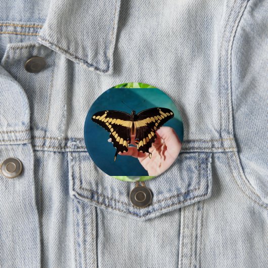 Schwalbenschwanz-Schmetterling Button (Beispiel)