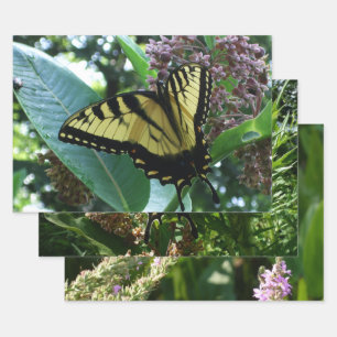 Schwalbenschwanz Schmetterling I auf Seidenpflanze Geschenkpapier Set