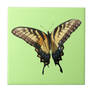 Schwalbenschwanz Schmetterling III Schönes Farbige Fliese