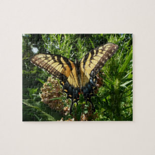 Schwalbenschwanz Schmetterling III Schönes Farbige Puzzle