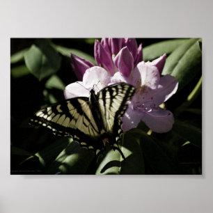 Schwalbenschwanz- und Rhododendron-Druck Poster