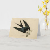 Schwalbenschwanzfalken - Audubons Vögel in Amerika Karte (Gelbe Blume)