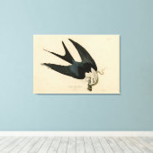 Schwalbenschwanzfalken - Audubons Vögel in Amerika Leinwanddruck (Insitu (Holzboden))