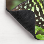 Schwalbenschwanzfalter Mousepad (Ecke)