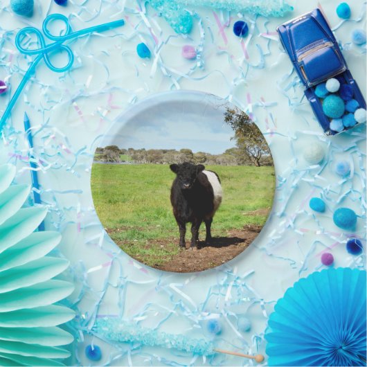 Schwallkuh, Teller (Party)