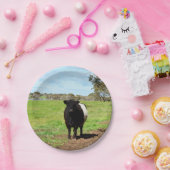 Schwallkuh, Teller (Party)