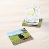 Schwallkuh, Untersetzer (Vor Ort)