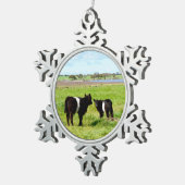 Schwallkühe, die im Lande gebrannt sind, Schneeflocken Zinn-Ornament (Rechts)