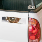 Schwamm-Taucher Autoaufkleber (Auf Lkw)