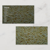 Schwamm Visitenkarte (Vorne/Hinten)