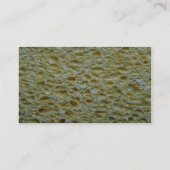 Schwamm Visitenkarte (Rückseite)