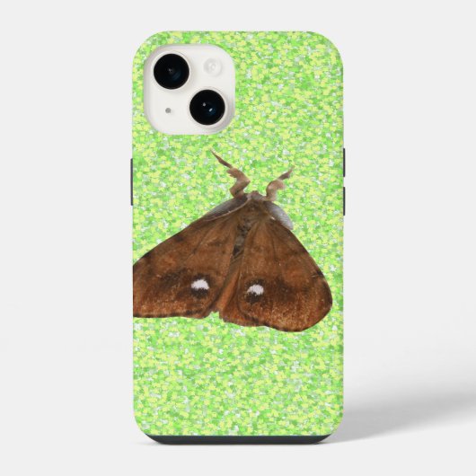 Schwammspinner iPhone Hülle (Rückseite)