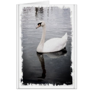 Schwan