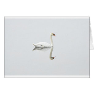 Schwan