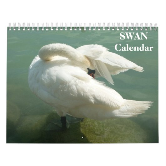 Schwan 2023 Kalender (Titelbild)