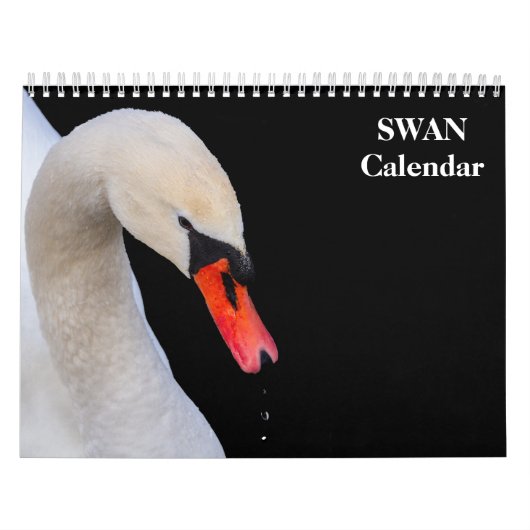 Schwan 2027 kalender (Titelbild)