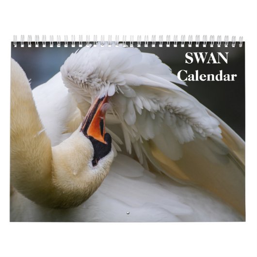 Schwan 2027 kalender (Titelbild)