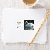 Schwan Adressaufkleber (Insitu)