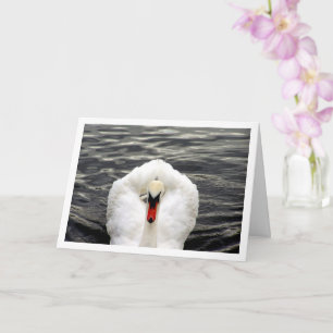 Schwan am See Portrait Karte