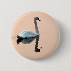 Schwan am Sonnenuntergang-Knopf Button